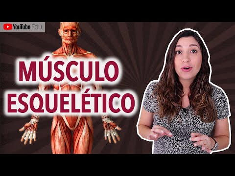 Vídeo: O Que é Músculo Esquelético