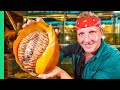 $10 Snail VS $120 Snail!!! Rare GIANT Seafood in Asia!!