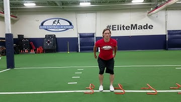 DL Lateral Jumps (Mini Hurdles)