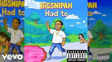 Bigsnipah - Had to (Visualizer)