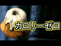 【Skyrim】射線上の内戦 Part2「入隊」【ゆっくり実況プレイ】