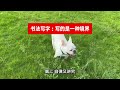 写字是一种境界