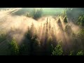 Relaxing Nature Scenery with Peaceful Sounds | Ultimate Stress Relief #nature #relaxing #music