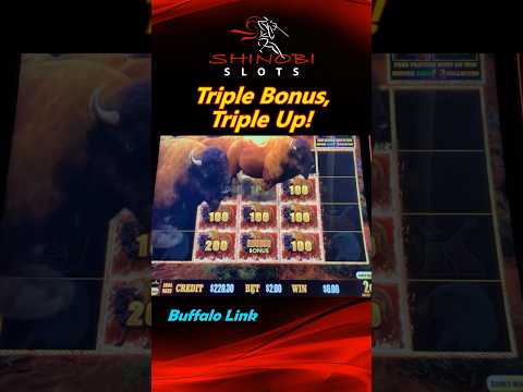 Triple Bonus, Triple Up in Buffalo Link at Soboba Casino! #shinobislots #shorts #shortfeed