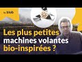 Des micropuces volantes pour surveiller de grands espaces   actu de science