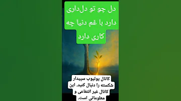 دل چو تو دل داری دارد با غم دنیا چه کاری دارد سپیدار شکسته شعر کلیپ M O Najib 