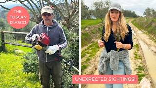 WE PUT WILDLIFE CAMERAS IN THE WOODS...AND GOT SOME SURPRISES