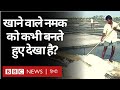 Salt Making Process : नमक कैसे बनाया जाता है? (BBC Hindi)