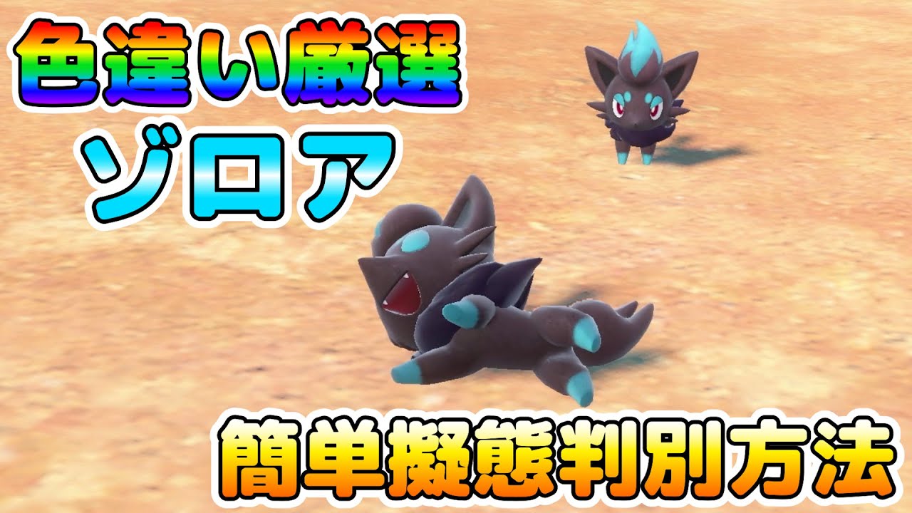ゾロア 色 違い