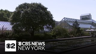 Brooklyn building project rezoned to keep Botanic Garden in the sun