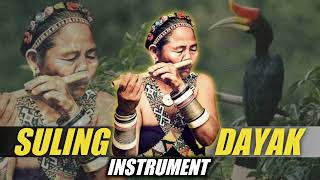 INSTRUMENT SULING DAYAK Bikin Pikiran Damai