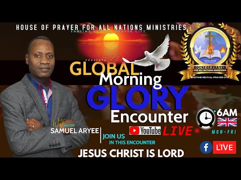 GLOBAL MORNING GLORY