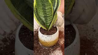 Yenə Öz Işimizdə Öz Əkintilərimizi Edirik , Bitkilər Bizim Yaşam Nəfəsimizdir