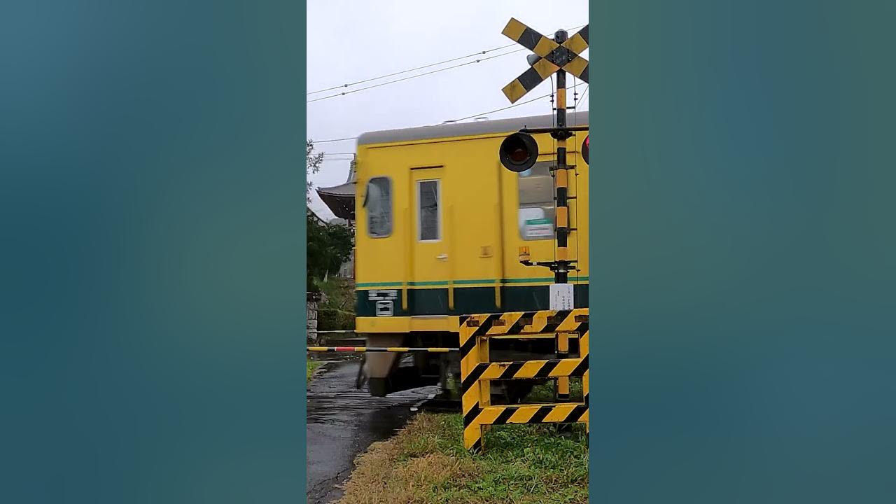 Railroad Crossing in Japan #shorts Railroad Crossing in Japan #shorts