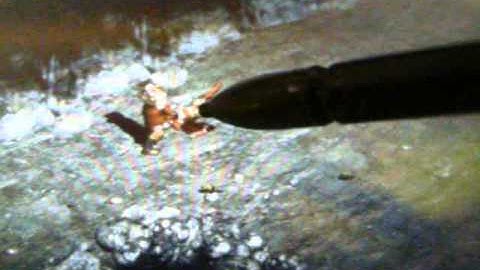 Diablo 2 on Pandora with Qemu and Win98se Emulation and Touchscreen