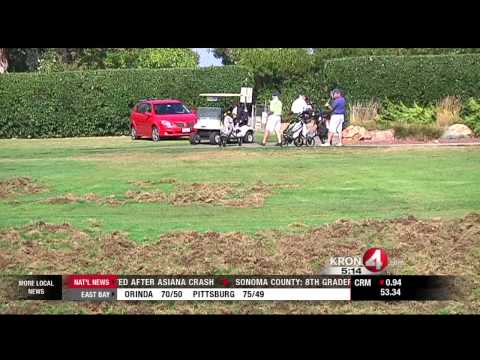 Wild Pigs Destroy San Jose Golf Course