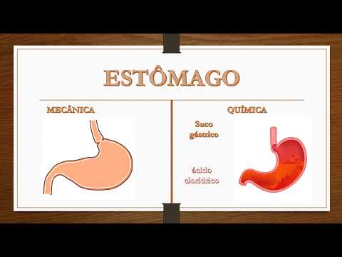 Vídeo: Diferença Entre Digestão Mecânica E Digestão Química