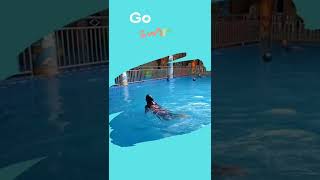 Praktek 3 PJOK ( Olahraga Renang Gaya Dada \u0026 Gaya Punggung ) - Universitas Terbuka