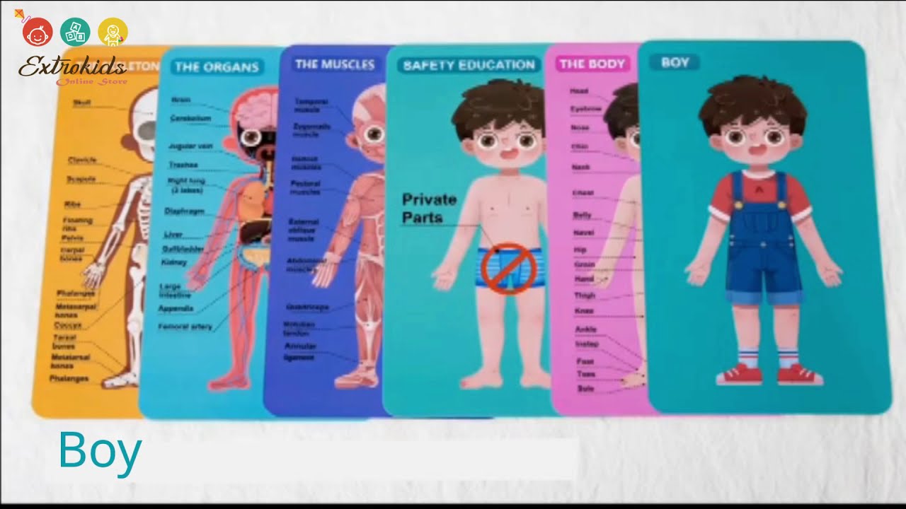 Human Body Puzzle for kids
