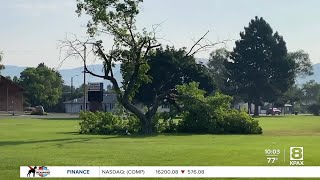 City of Missoula to begin picking up tree debris from July 24th storm