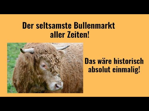 S&P 500, Nasdaq: Der seltsamste Bullenmarkt aller Zeiten! Marktgeflüster