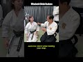 Karate Girl meets Daito-ryu