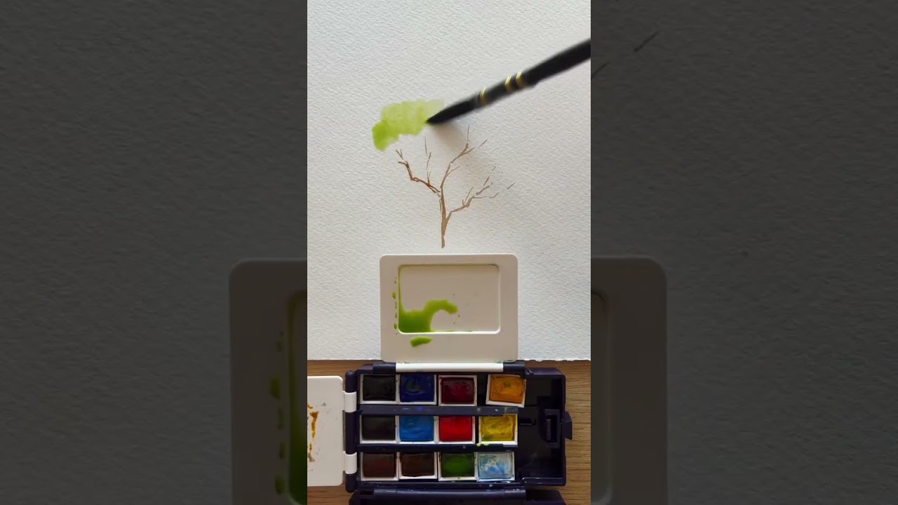 How to use a sponge for 