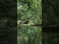 🌿🐦 SONS SUAVES RIO E PÁSSAROS I PARA QUEM ESTÁ NA CIDADE E NÃO TEM OPORTUNIDADE DE OUVIR A NATUREZA