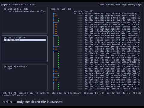 Git stash — and the shelf that survives what a stash doesn't (gg v0.2.4+)