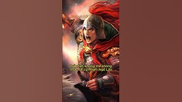 Ngũ hổ thượng tướng của Hưng Đạo Đại Vương x ngũ hổ tướng Tam Quốc, ai mạnh hơn?   #baihoccuocsong