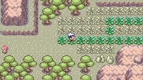 Lets Play Pokemon Ruby Part 9 - To the skys!