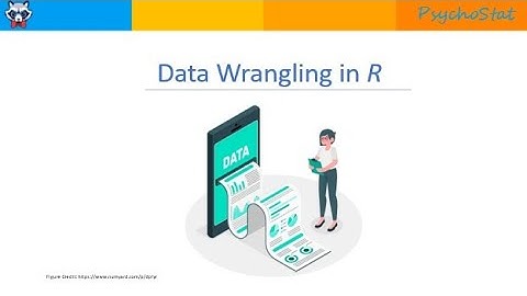 Data Wrangling and Manipulation in R