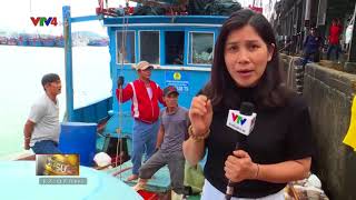 Bản tin thời sự Tiếng Việt 12h - 28/10/2017