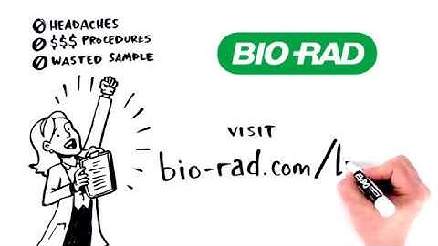 lncRNA qPCR Workflow