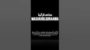 فارتقب يوم تأتي السماء بدخان مبين #تلاوة_خاشعة #المصحف #اكسبلور #قرآن #راحة_نفسية #كروما #شاشه_سوداء