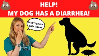 My Dog Has DIARRHEA. What Should I do? (Vet Explains)