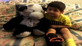 Stuffed cow breaks boy's fall from second-story window