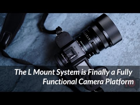 Why It's a Great Time to Buy Into the L Mount Camera System