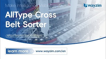 Wayzim: All Type Sorter | Express Delivery | Cross Belt Sorter