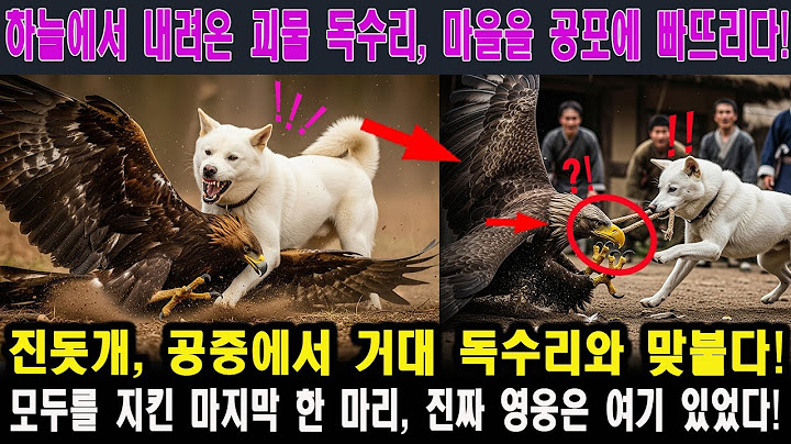 [해외감동사연] 진돗개가 거대 독수리를 공중전으로 제압한 순간, 전 세계가 충격과 눈물! #동물이야기  #진돗개 #복순이  #감동적인이야기   #외국인반응