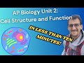 Cellular Dynamics: Exploring Organelles and Their Functions