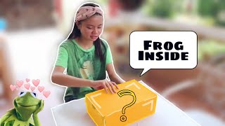 HUGE FROG PRANK! (SCARED THE LIFE OUT OF HER!)