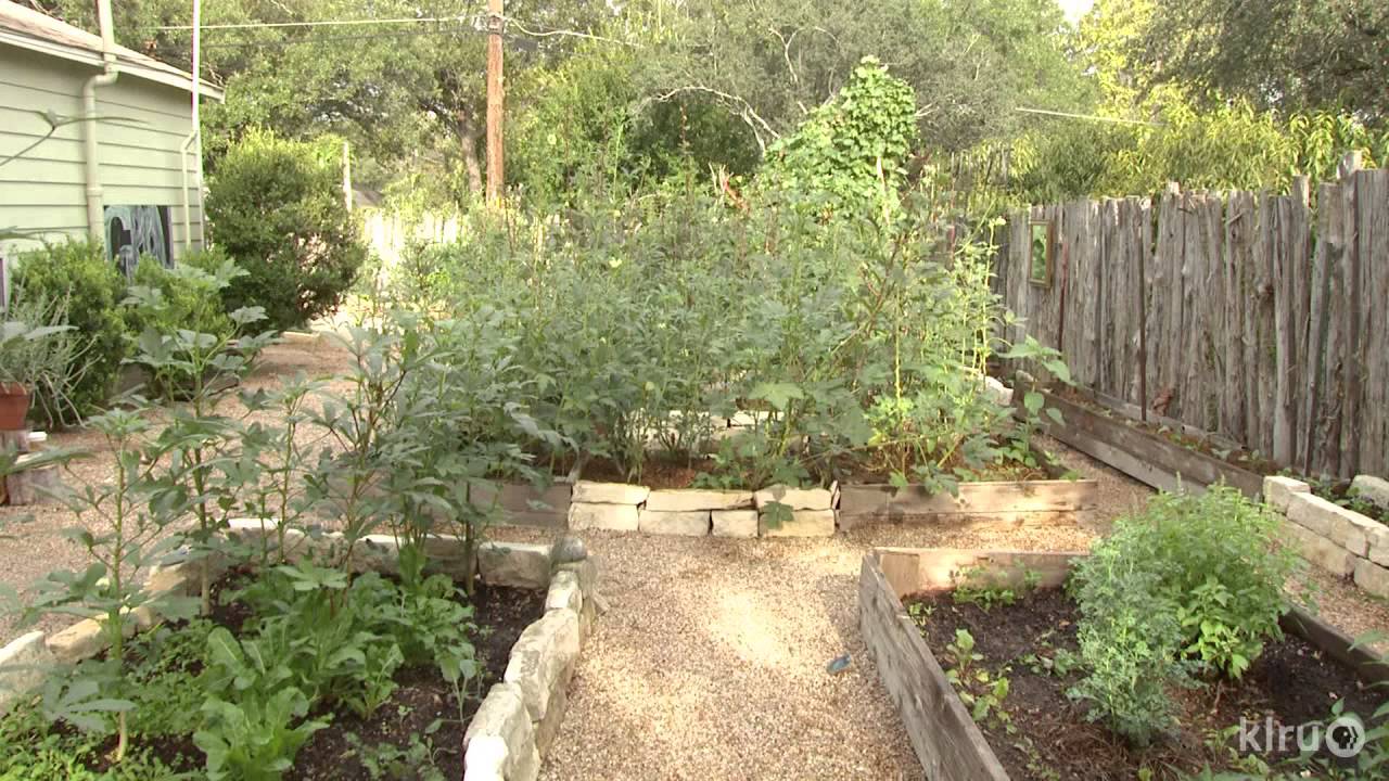 Turn Lawn Into Food On A Budget|Meredith Thomas|Central Texas Gardener