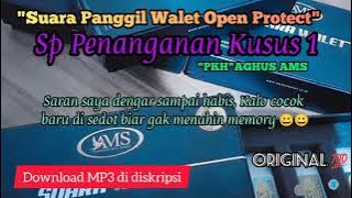 Suara panggil burung walet SP penanganan khusus AMS Original