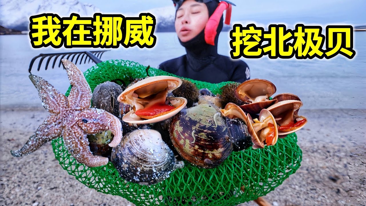 挪威挖北极贝，-15°北冰洋赶海，海胆海螺一箩筐！| 挪威 | 赶海 | 北极圈 | 海鲜 | 户外 |