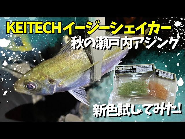 秋のアジングでKEITECH イージーシェイカー新色試してみました！期待