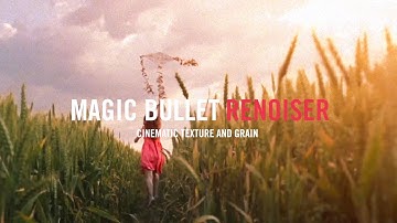 Magic Bullet Renoiser Hero