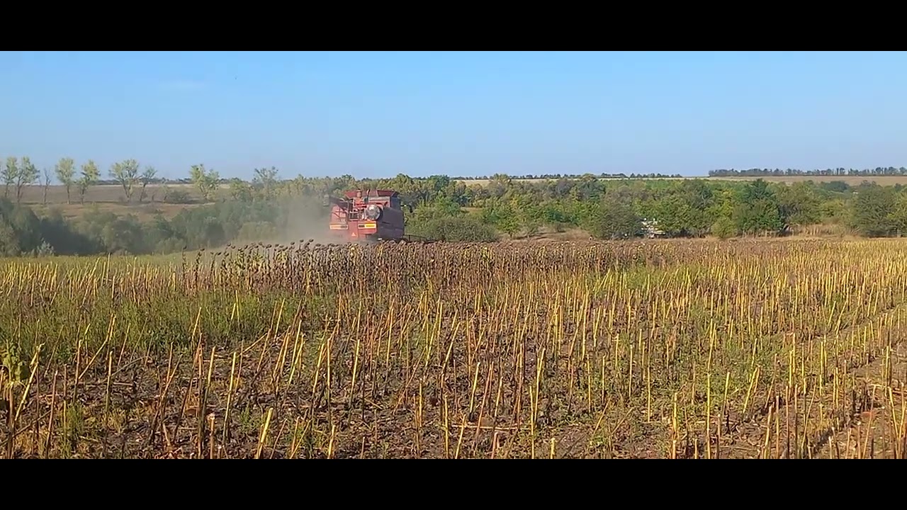 Кейс 1666 молоте сонях 