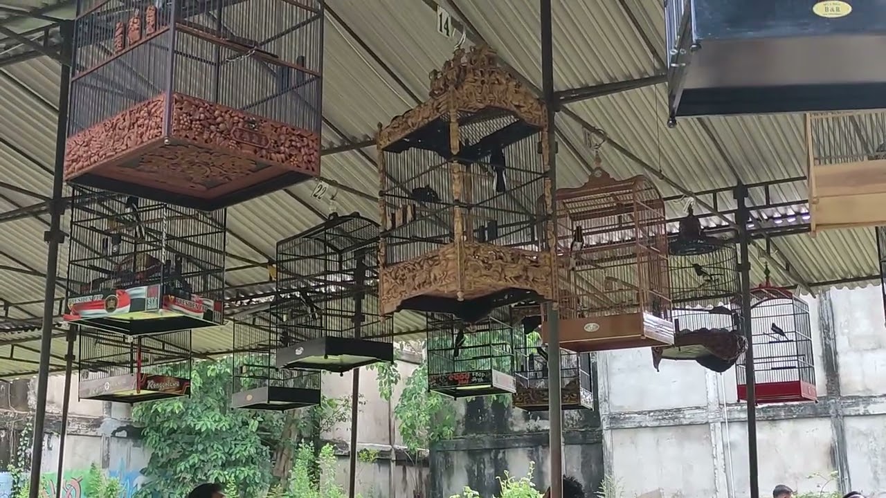 KACER 1M (ONE MILLION) MASIH DI JALUR STABIL DAN BERHASIL MERAIH PODIUM 1!!!!