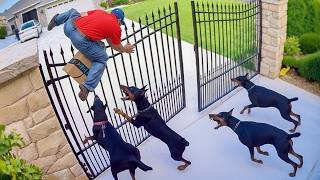 When Thieves Rob The Wrong House | Instant Karma #1